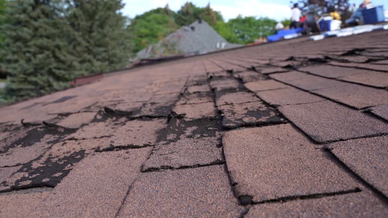 Best Roof Insulation Installation  in Harsville, RI
